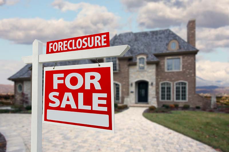 Credit & Specialty Programs